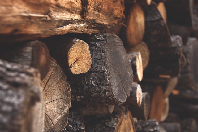 Best Firewood Choices: